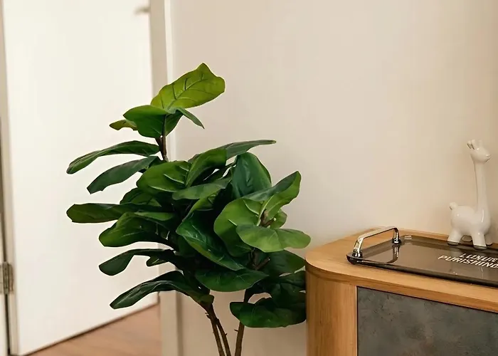 Family - Friendly 2br Sea View - Diamond * Ha Long